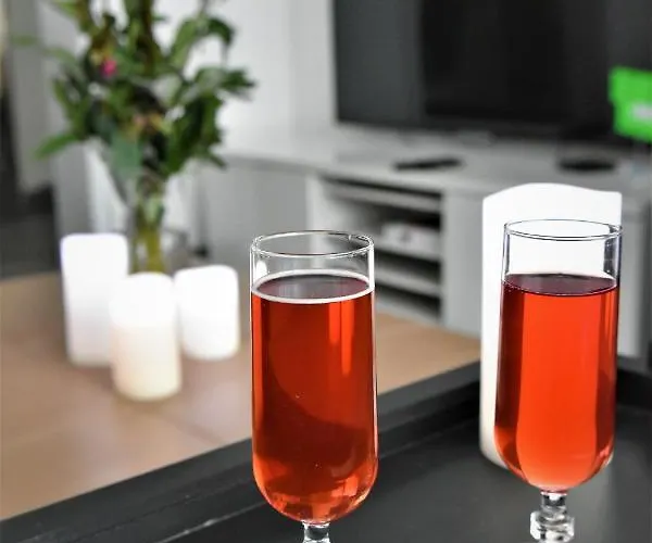 Apartment Duplex By The Sea Ostende